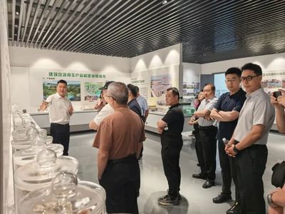 攜手并進，共繪綠色未來——記麗水市生態文明促進會專家團蒞臨天造環保調研指導