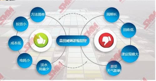 鹽湖鋰資源 稟賦優(yōu)勢、提鋰技術趨勢與資源再生利用